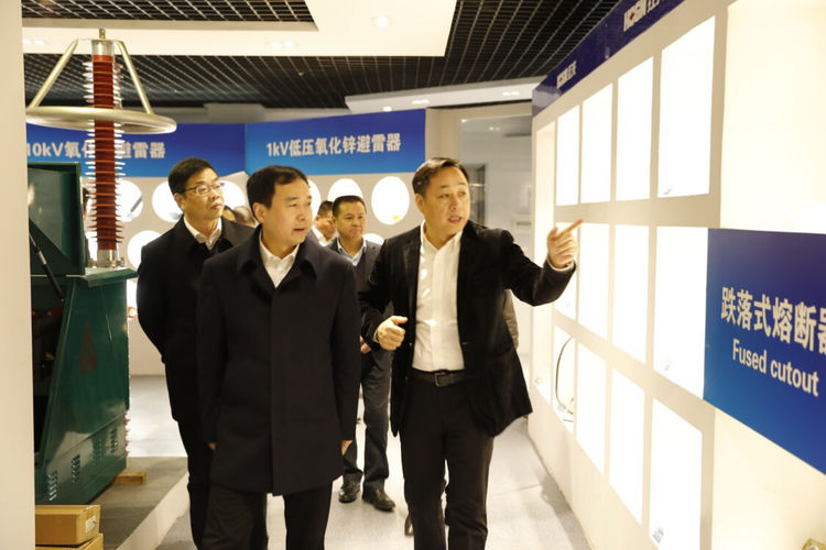溫州市委常委、組織部長馬永良蒞臨紅光電氣集團調研指導